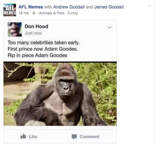 meme polemico harambe