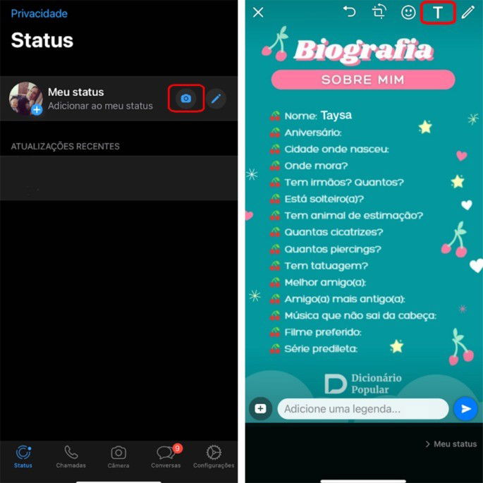 Como postar o template de Biografia no Instagram