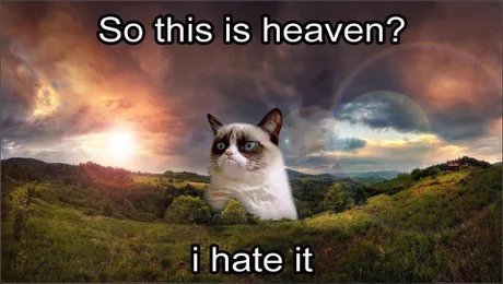 Grumpy morreu