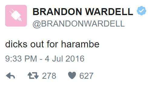 dicks out for harambe 2