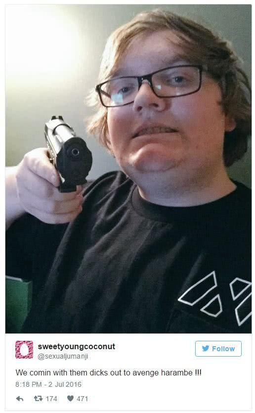 dicks out to harambe