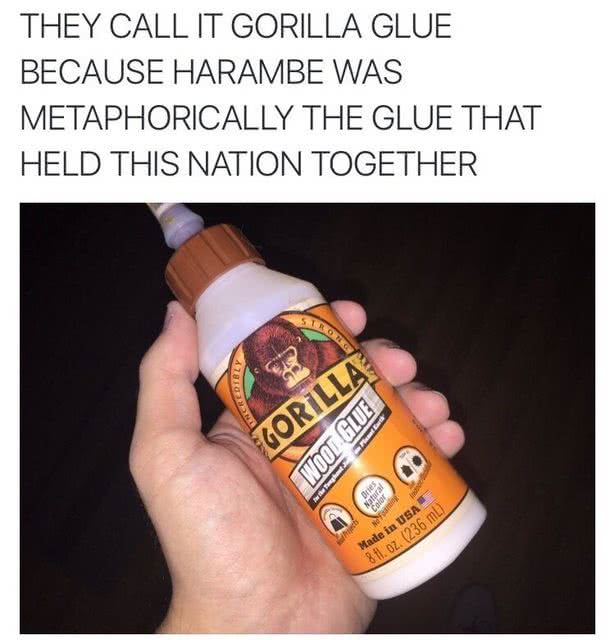 harambe meme