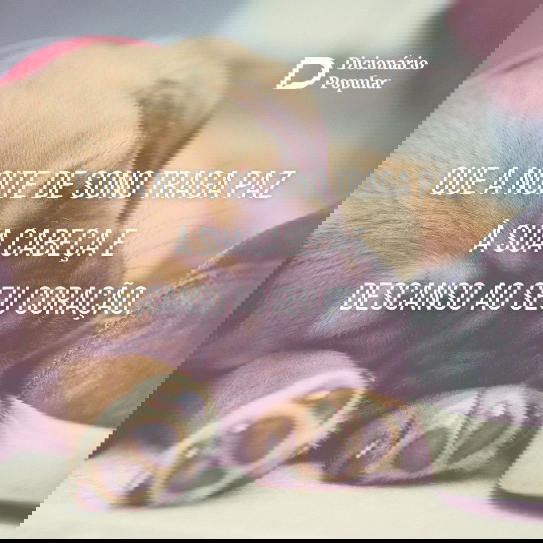 Frase de boa noite com filhote de cachorro dormindo ao lado de tênis azul