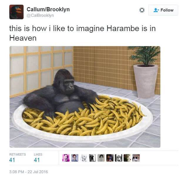 harambe meme