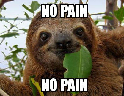 Significado De No Pain No Gain Dicionario Popular