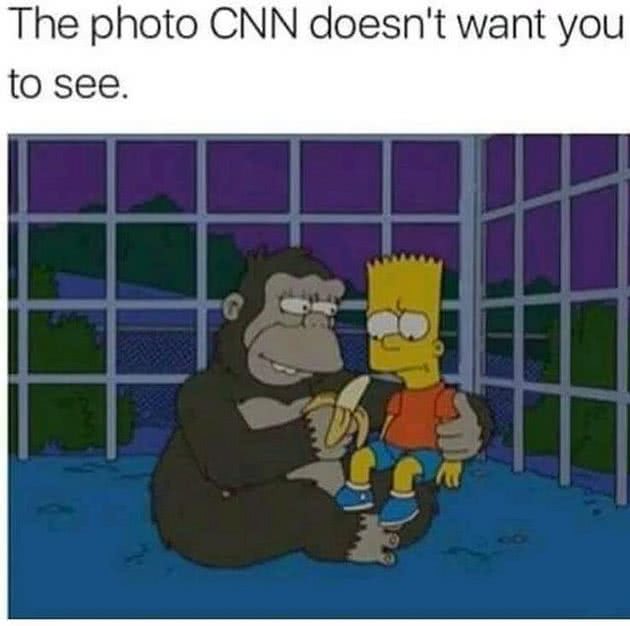 memes harambe 2