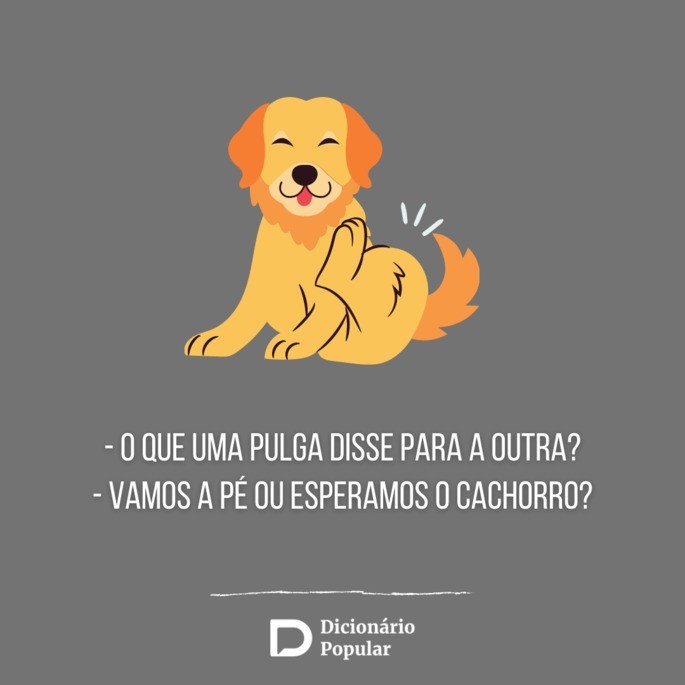 Piada sem graça da pulga