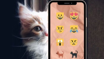 Por que há emojis de gato com expressões 😼? Significados e como usar