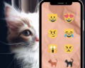 Por que há emojis de gato com expressões 😼? Significados e como usar