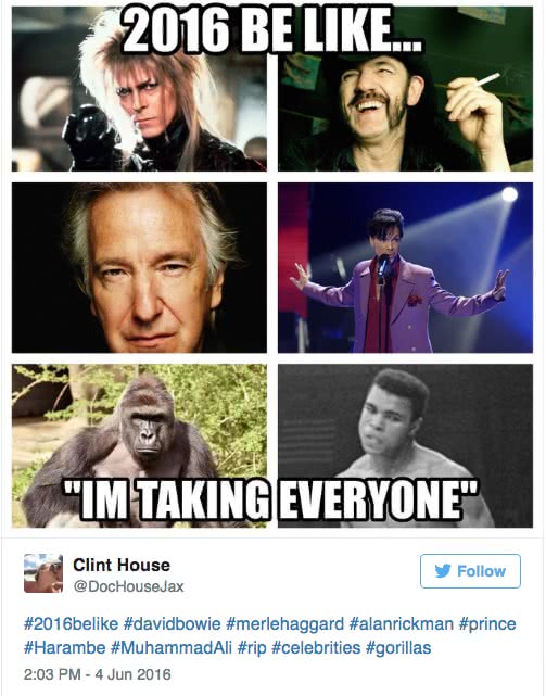 memes harambe